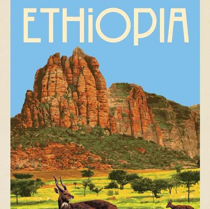 Kopi Arabica Ethiopia - Gambar 2