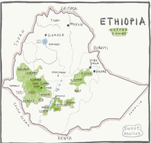 Peta Perkebunan Kopi di Ethiopia 